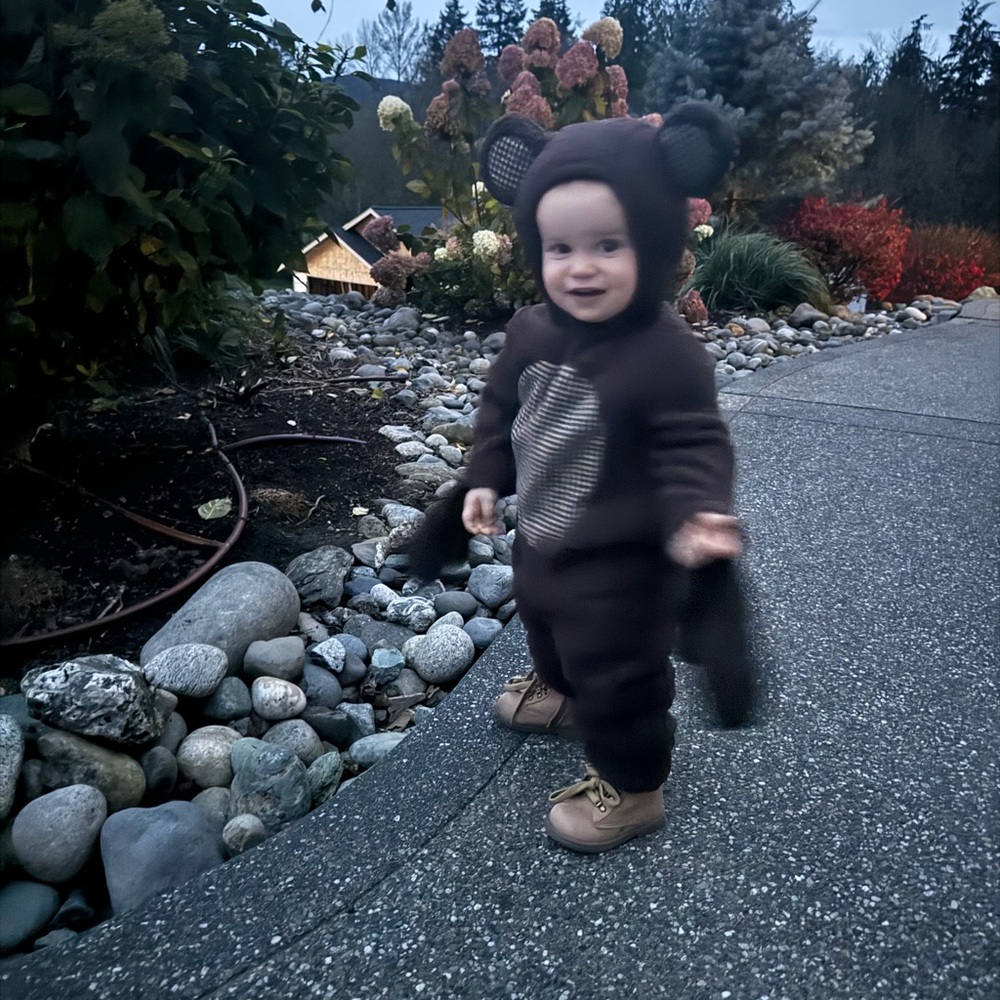 Toddler Bear Costume Size 2T